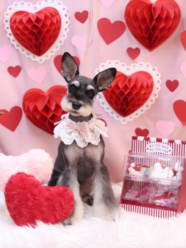 20240225ニーナちゃん